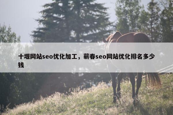 十堰网站seo优化加工，蕲春seo网站优化排名多少钱