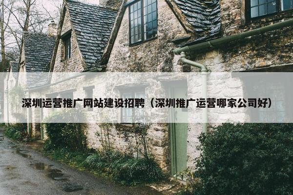深圳运营推广网站建设招聘（深圳推广运营哪家公司好）