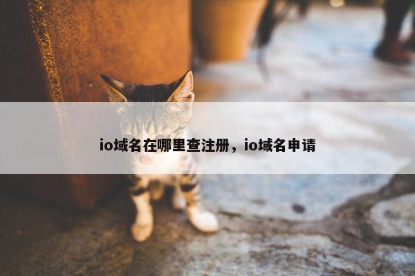io域名在哪里查注册，io域名申请
