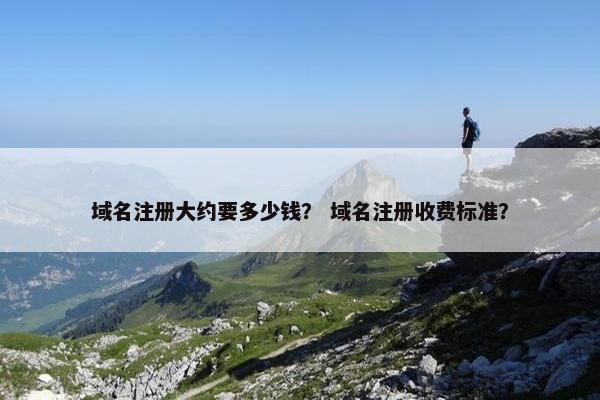 域名注册大约要多少钱？ 域名注册收费标准？