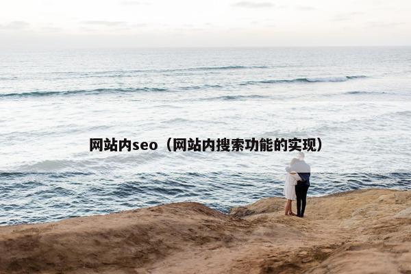 网站内seo（网站内搜索功能的实现）