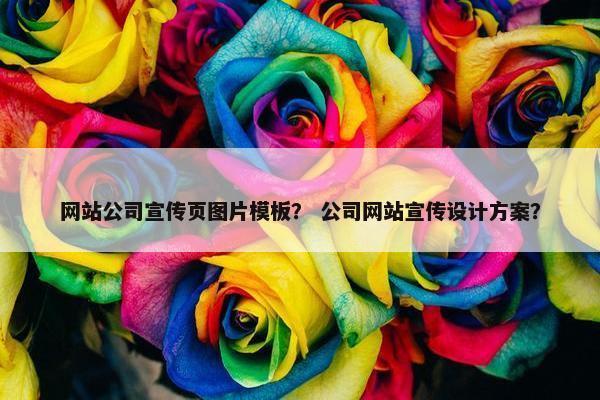 网站公司宣传页图片模板？ 公司网站宣传设计方案？