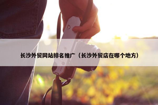 长沙外贸网站排名推广（长沙外贸店在哪个地方）