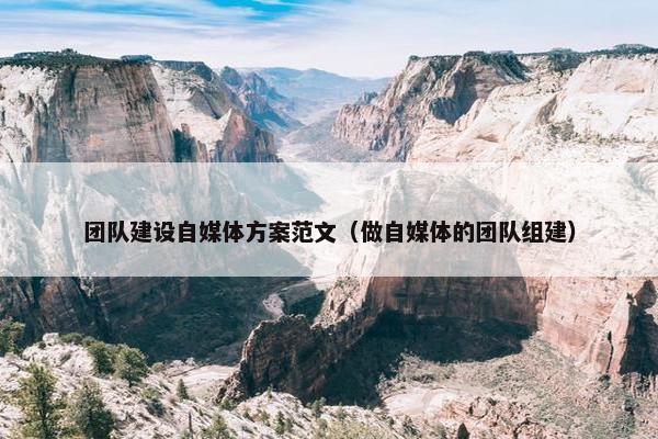 团队建设自媒体方案范文（做自媒体的团队组建）