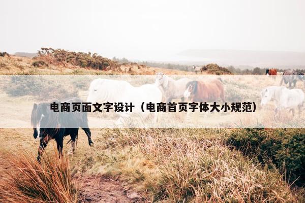 电商页面文字设计（电商首页字体大小规范）