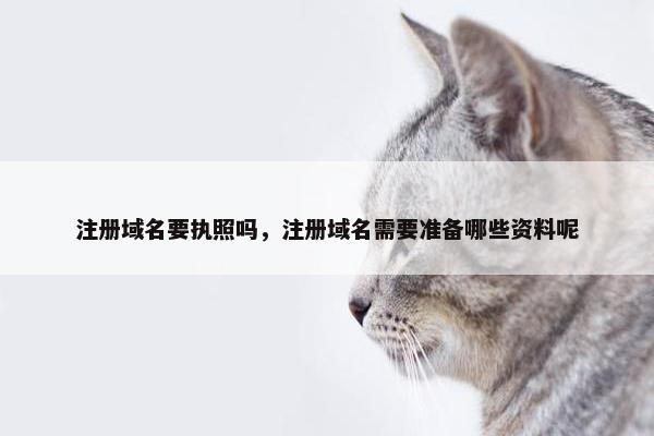 注册域名要执照吗，注册域名需要准备哪些资料呢