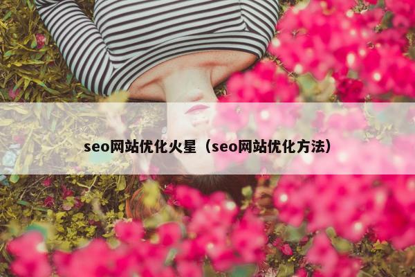 seo网站优化火星（seo网站优化方法）