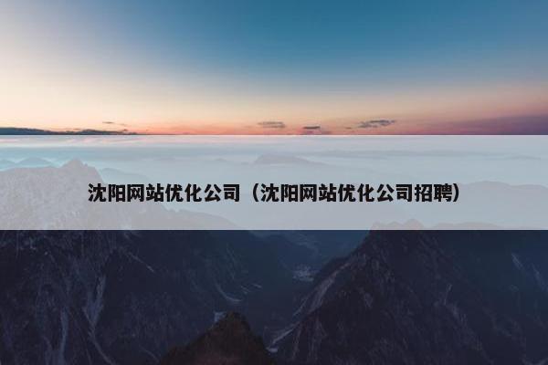 沈阳网站优化公司（沈阳网站优化公司招聘）