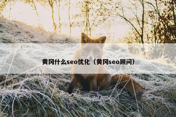 黄冈什么seo优化（黄冈seo顾问）