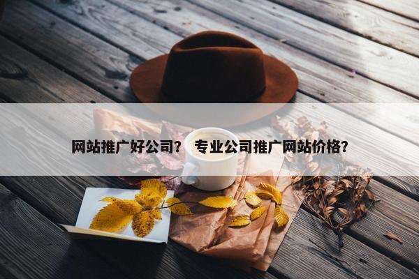 网站推广好公司？ 专业公司推广网站价格？