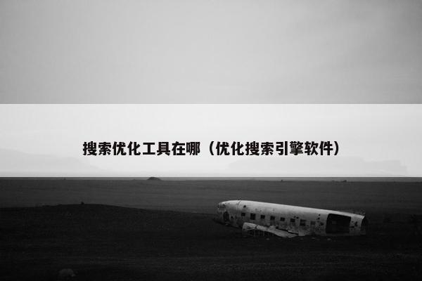 搜索优化工具在哪（优化搜索引擎软件）