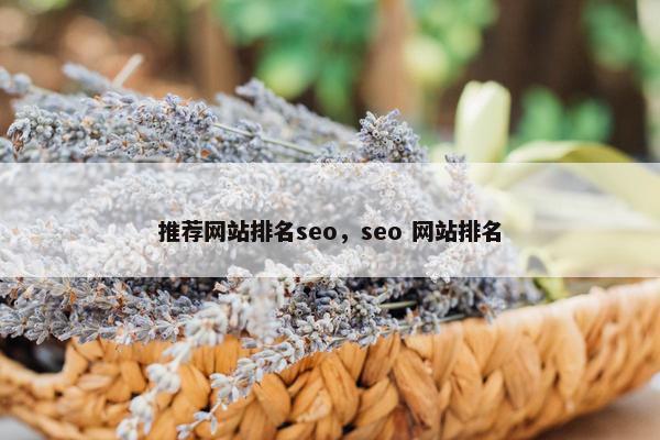 推荐网站排名seo，seo 网站排名