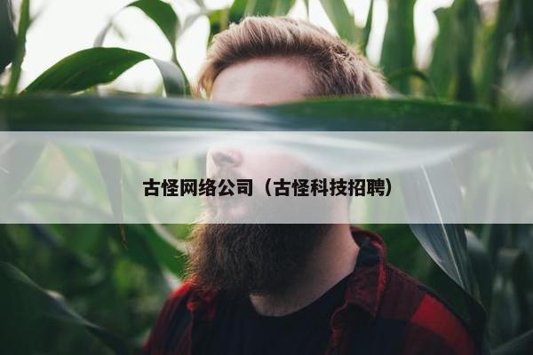 古怪网络公司（古怪科技招聘）