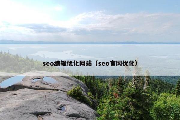 seo编辑优化网站（seo官网优化）