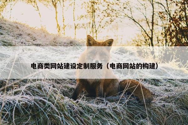 电商类网站建设定制服务（电商网站的构建）