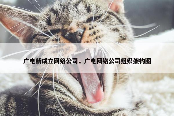 广电新成立网络公司，广电网络公司组织架构图