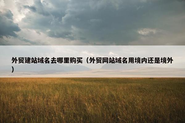 外贸建站域名去哪里购买（外贸网站域名用境内还是境外）