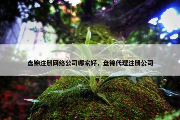 盘锦注册网络公司哪家好，盘锦代理注册公司