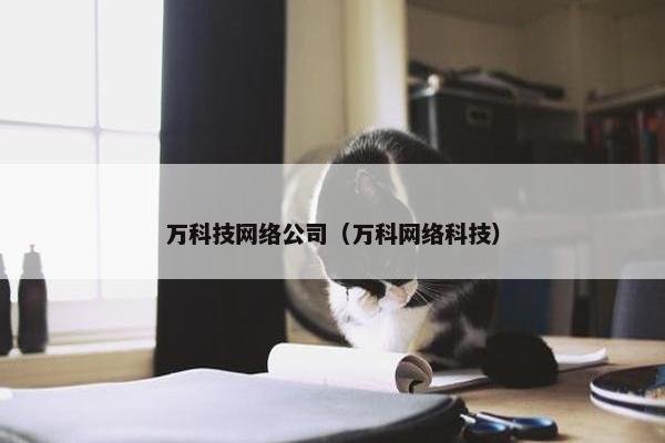 万科技网络公司（万科网络科技）