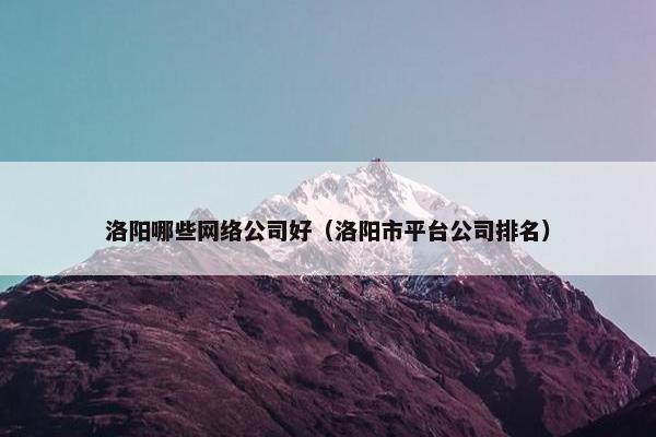 洛阳哪些网络公司好（洛阳市平台公司排名）