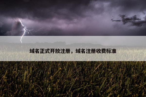 域名正式开放注册，域名注册收费标准