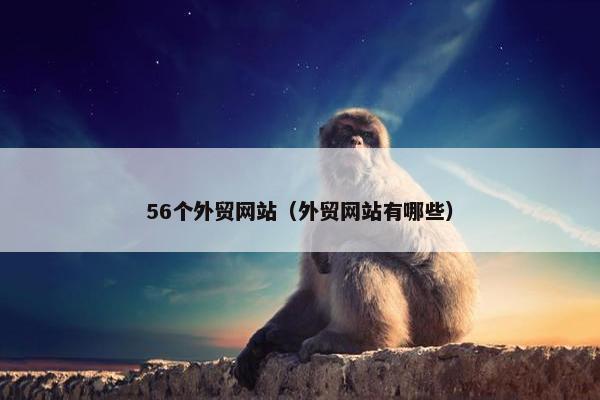 56个外贸网站（外贸网站有哪些）