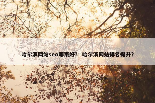 哈尔滨网站seo哪家好？ 哈尔滨网站排名提升？