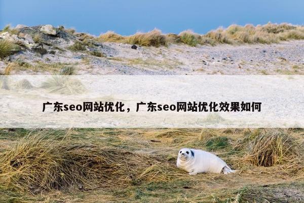 广东seo网站优化，广东seo网站优化效果如何