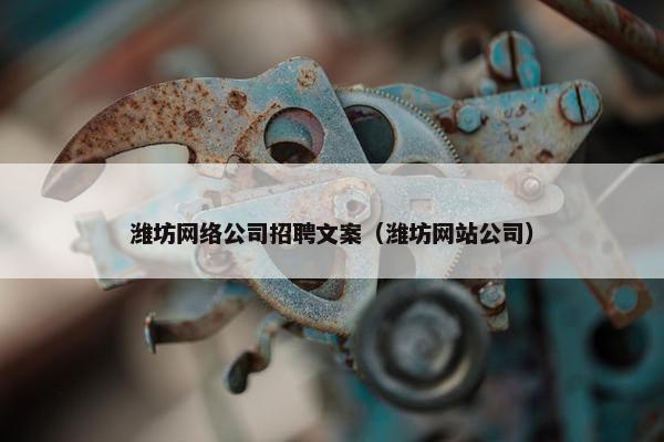 潍坊网络公司招聘文案（潍坊网站公司）