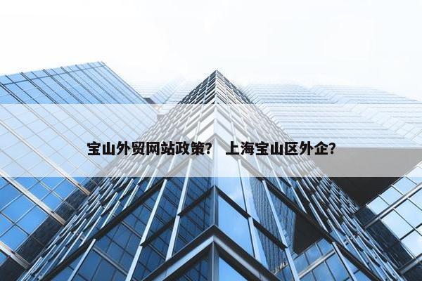 宝山外贸网站政策？ 上海宝山区外企？