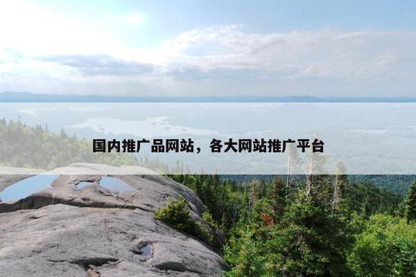 国内推广品网站，各大网站推广平台