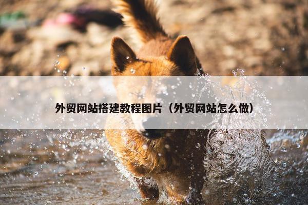 外贸网站搭建教程图片（外贸网站怎么做）