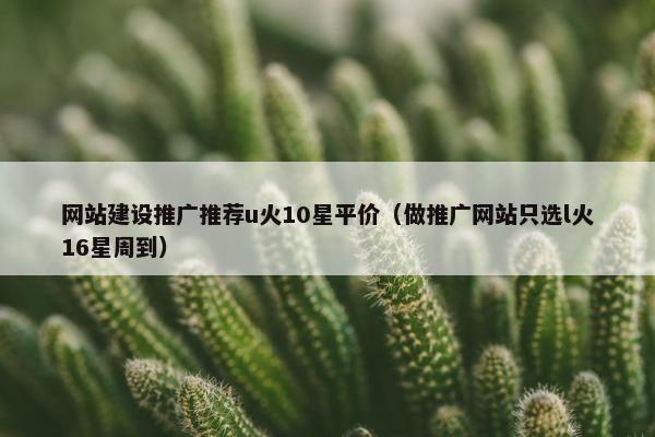网站建设推广推荐u火10星平价（做推广网站只选l火16星周到）