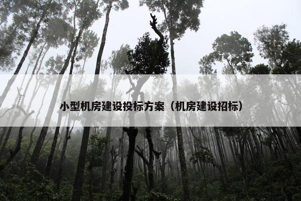 小型机房建设投标方案（机房建设招标）