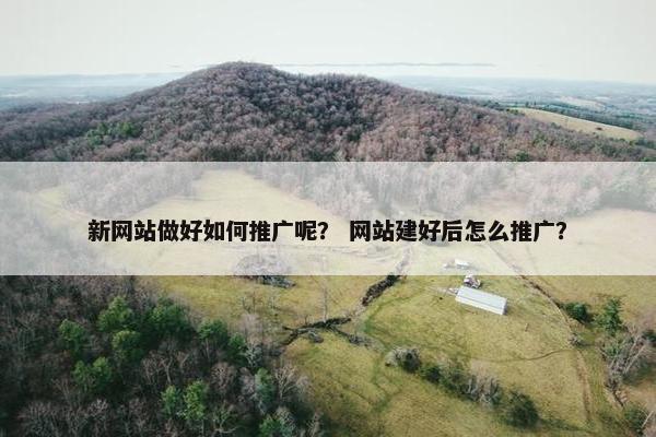新网站做好如何推广呢？ 网站建好后怎么推广？