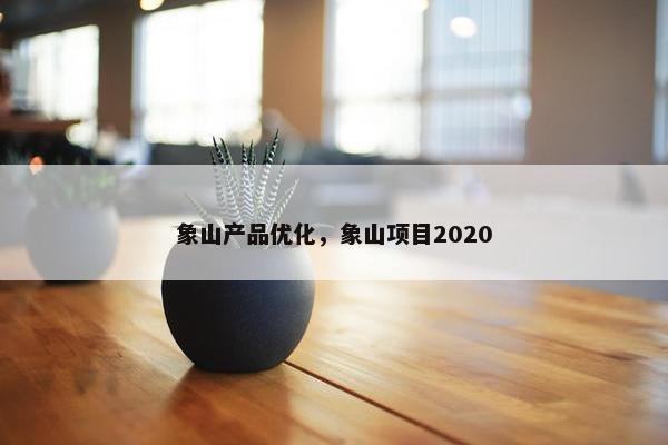 象山产品优化，象山项目2020