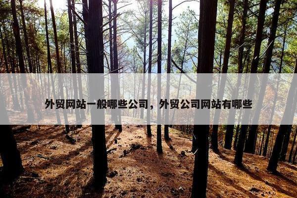 外贸网站一般哪些公司，外贸公司网站有哪些