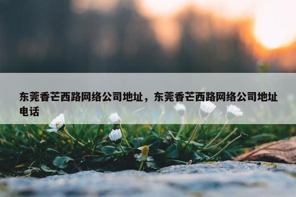东莞香芒西路网络公司地址，东莞香芒西路网络公司地址电话
