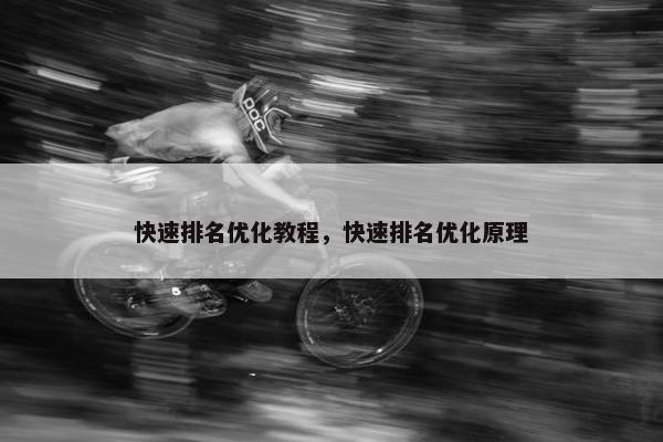 快速排名优化教程，快速排名优化原理