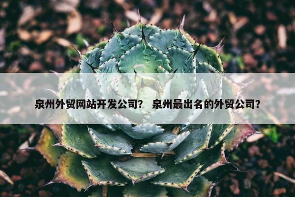 泉州外贸网站开发公司？ 泉州最出名的外贸公司？