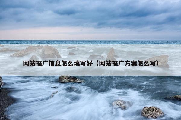 网站推广信息怎么填写好（网站推广方案怎么写）