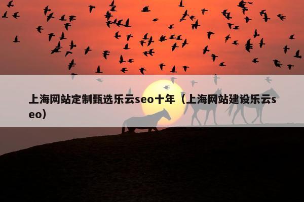 上海网站定制甄选乐云seo十年（上海网站建设乐云seo）