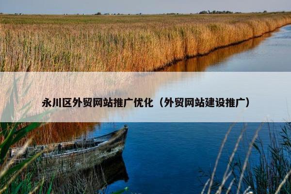 永川区外贸网站推广优化（外贸网站建设推广）