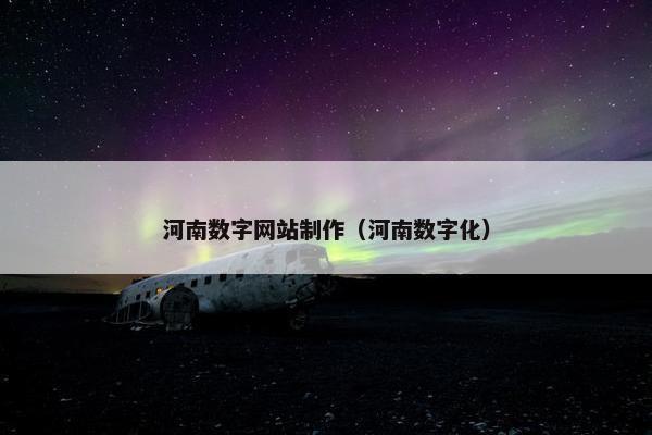 河南数字网站制作（河南数字化）