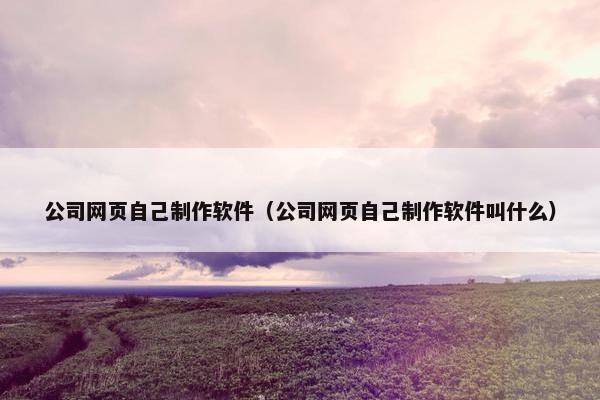 公司网页自己制作软件（公司网页自己制作软件叫什么）