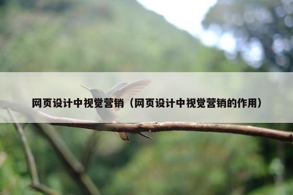 网页设计中视觉营销（网页设计中视觉营销的作用）