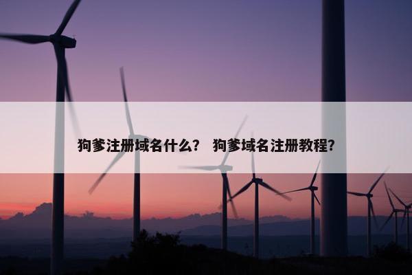 狗爹注册域名什么？ 狗爹域名注册教程？