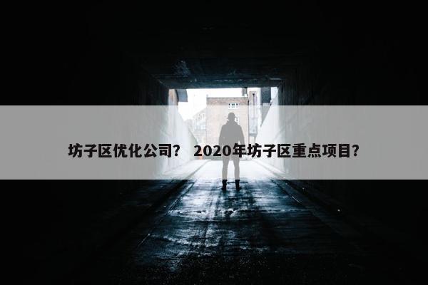 坊子区优化公司？ 2020年坊子区重点项目？
