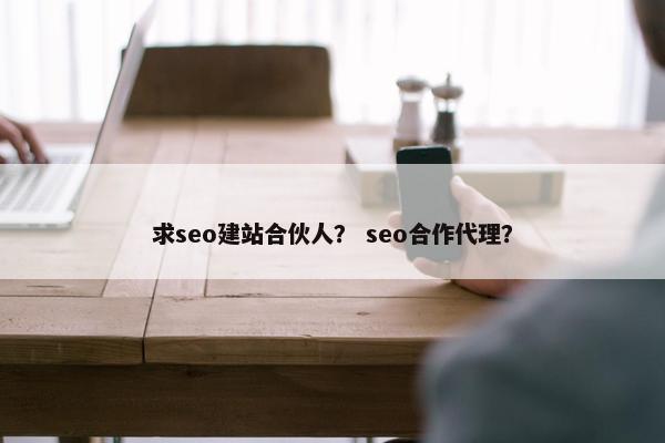 求seo建站合伙人？ seo合作代理？