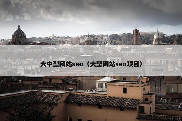 大中型网站seo（大型网站seo项目）